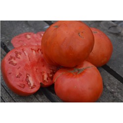 Частный питомник растений Наш сад, Семена помидоров Большой Марманде(Grosse Marmande)