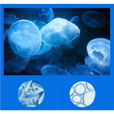 Маска под глаза с экстрактом медузы 60 шт Liftheng