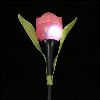 Садовый светильник на солнечной батарее «Тюльпан розовый», 4.5 × 29 × 4.5 см, 1 LED, свечение белое