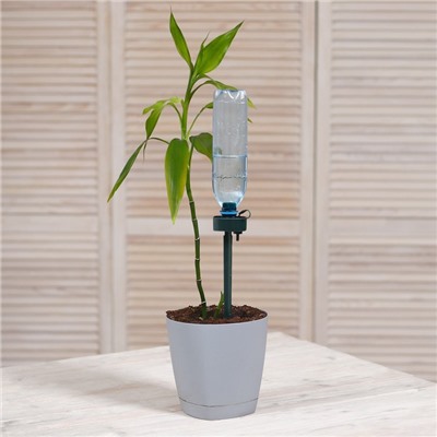 Автополив для комнатных растений, под бутылку, регулируемый, тёмно-зелёный, из пластика, высота 25 см, Greengo