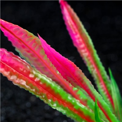 Растение искусственное аквариумное, 4 х 20 см, розовое