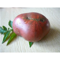 Частный питомник растений Наш сад, Семена томатов Аметист