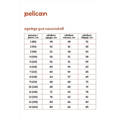 Пижама PELICAN #971495