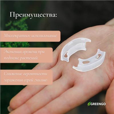 Кистедержатель «Улитка», 3,5 см, набор 50 шт., Greengo