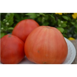 Частный питомник растений Наш сад, Семена помидоров Большой Лучиано( Big Luciano)