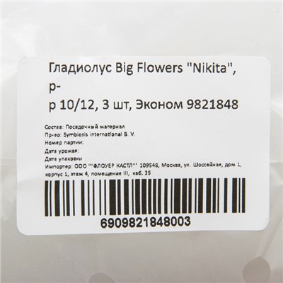 Гладиолус Big Flowers "Nikita", р-р 10/12, 3 шт, Эконом