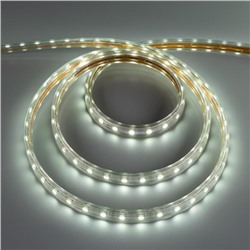 Светодиодная лента Ecola STD 14 × 7 мм, 100 м, IP68, SMD5050, 60 LED/м, 14.4 Вт/м, 220 В, 6000К