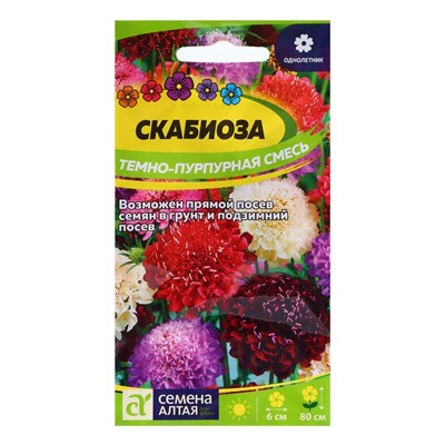 Семена Скабиоза "Темно-Пурпурная", 0,2 гр.
