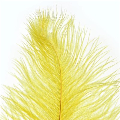 Перо для декора, размер: 25-30 см, цвет жёлтый