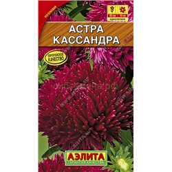 Астра Кассандра (Аэлита)