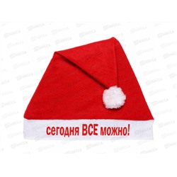 Колпак Сегодня ВСЁ можно 29*37см 987-256