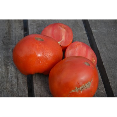 Частный питомник растений Наш сад, Семена помидоров Бычье сердце выставочное