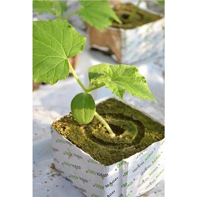 Субстрат «Эковер» минераловатный куб для рассады растений, отверстие 20 × 15 мм, 10 × 10 × 6.5 см
