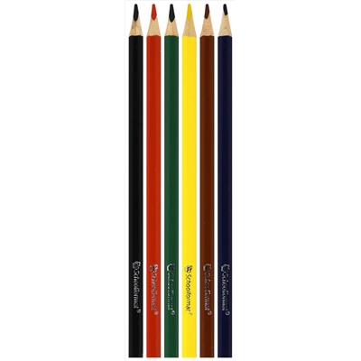 Набор цветных карандашей 6 цветов, повышенная мягкость, увеличенный диаметр грифеля ДИКАЯ ПЛАНЕТА