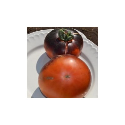 Семена помидоров Красный уголь есть 2шт