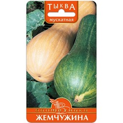 Тыква мускатная Жемчужина