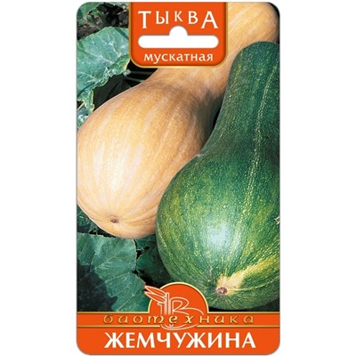 Тыква мускатная Жемчужина