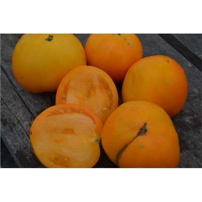 Частный питомник растений Наш сад, Семена помидоров Апельсин Никовиотиса (Nicoviotis Orange)