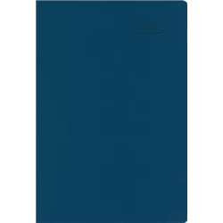 Ежедневник датированный на 2024 год Paragraph. Синий, 176 листов, А5