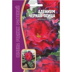 Адениум Черная птица (Редкие)