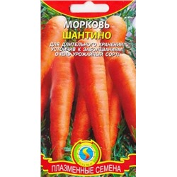 Морковь Шантино (Код: 85563)