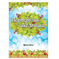 Портфолио школьника BRAUBERG, 16 листов: титульный лист, содержание, 14 разделов "Окружающий мир"