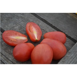 Частный питомник растений Наш сад, Семена помидоров Гранённый сосуд Вива(Faceted vessel Viva)