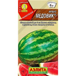 Арбуз Медовик (Аэлита)