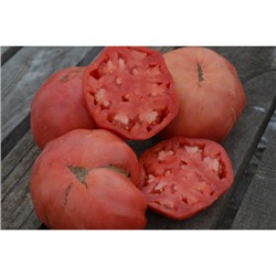 Частный питомник растений Наш сад, Семена помидоров Восхитительный Хой (Hoy Delicious )