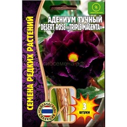 Адениум Deset Rose Triple Magenta - Трипл Мажента (Редкие)