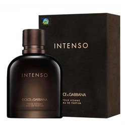 Парфюмерная вода Dolce&Gabbana Intenso Pour Homme мужская (Euro A-Plus качество люкс)