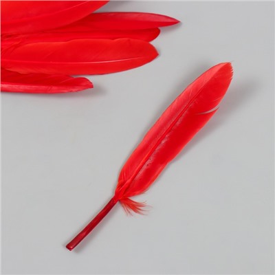 Перо декоративное гусиное "Красное" набор 30 шт h=10-12 см
