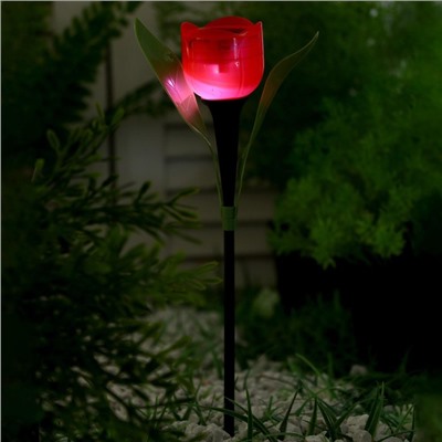 Садовый светильник на солнечной батарее «Тюльпан красный», 4.5 × 29 × 4.5 см, 1 LED, свечение белое