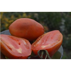 Частный питомник растений Наш сад, Семена помидоров Венгерский красный