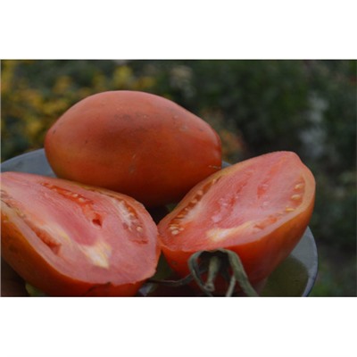 Частный питомник растений Наш сад, Семена помидоров Венгерский красный