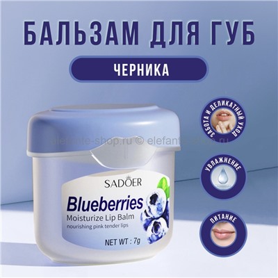 Бальзам для губ Sadoer Blueberries Moisturize Lip Balm 7g (19)