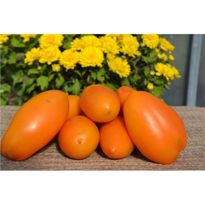 Частный питомник растений Наш сад, Семена помидоров Банан оранжевый