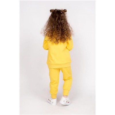 Комплект детский (джемпер_брюки) 0454 (м) (Желтый)