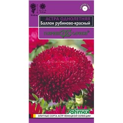 Астра Баллон рубиново-красный густомахровый (Гавр)