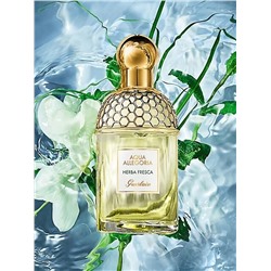 Aqua Allegoria Herba Fresca Guerlain